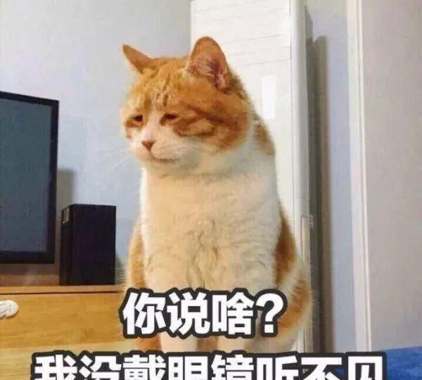 白高兴一场？林志玲否认和言承旭复合，你信吗？