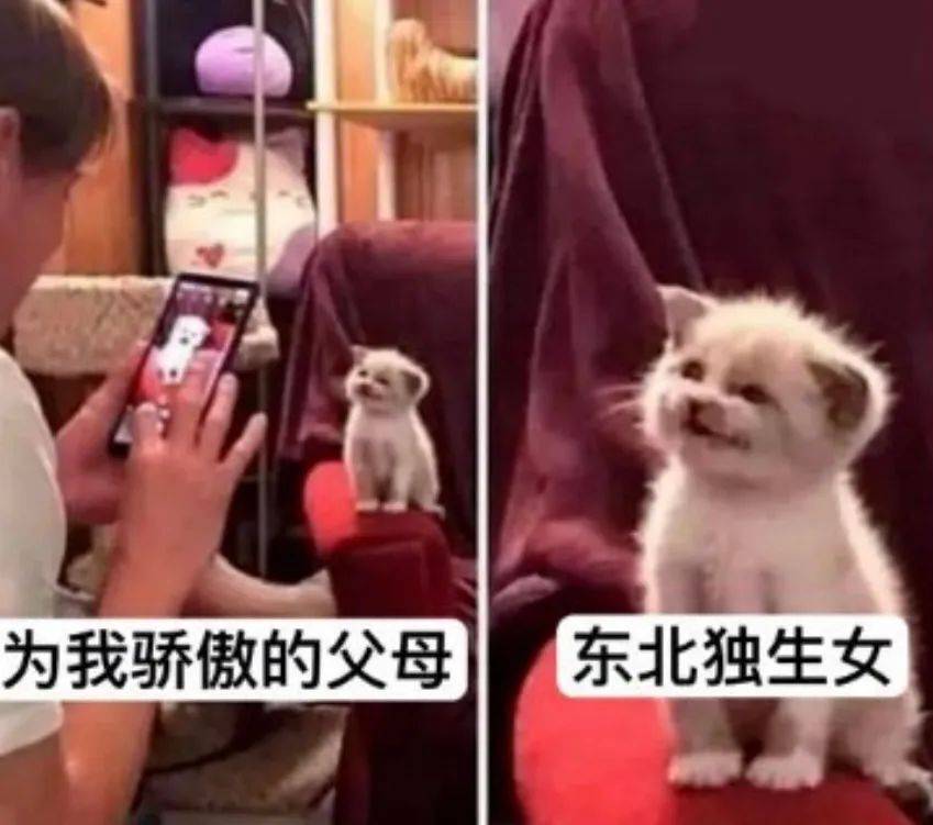 承认吧，我们讲不好原生家庭