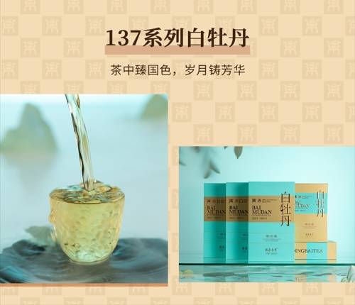 展会预告|鼎白邀你来看展，相约T322