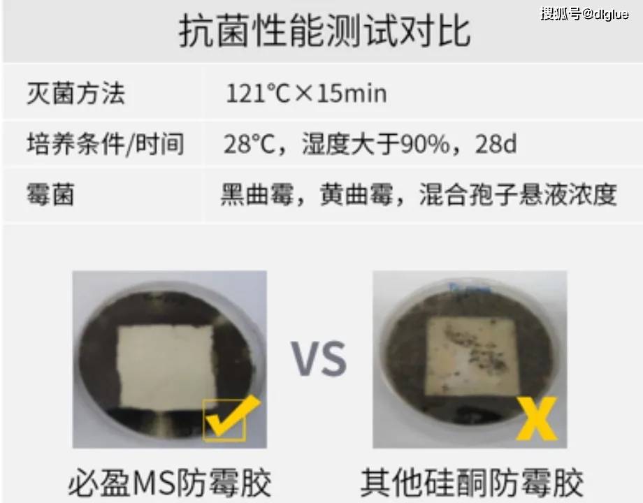 浅谈MS胶的优点