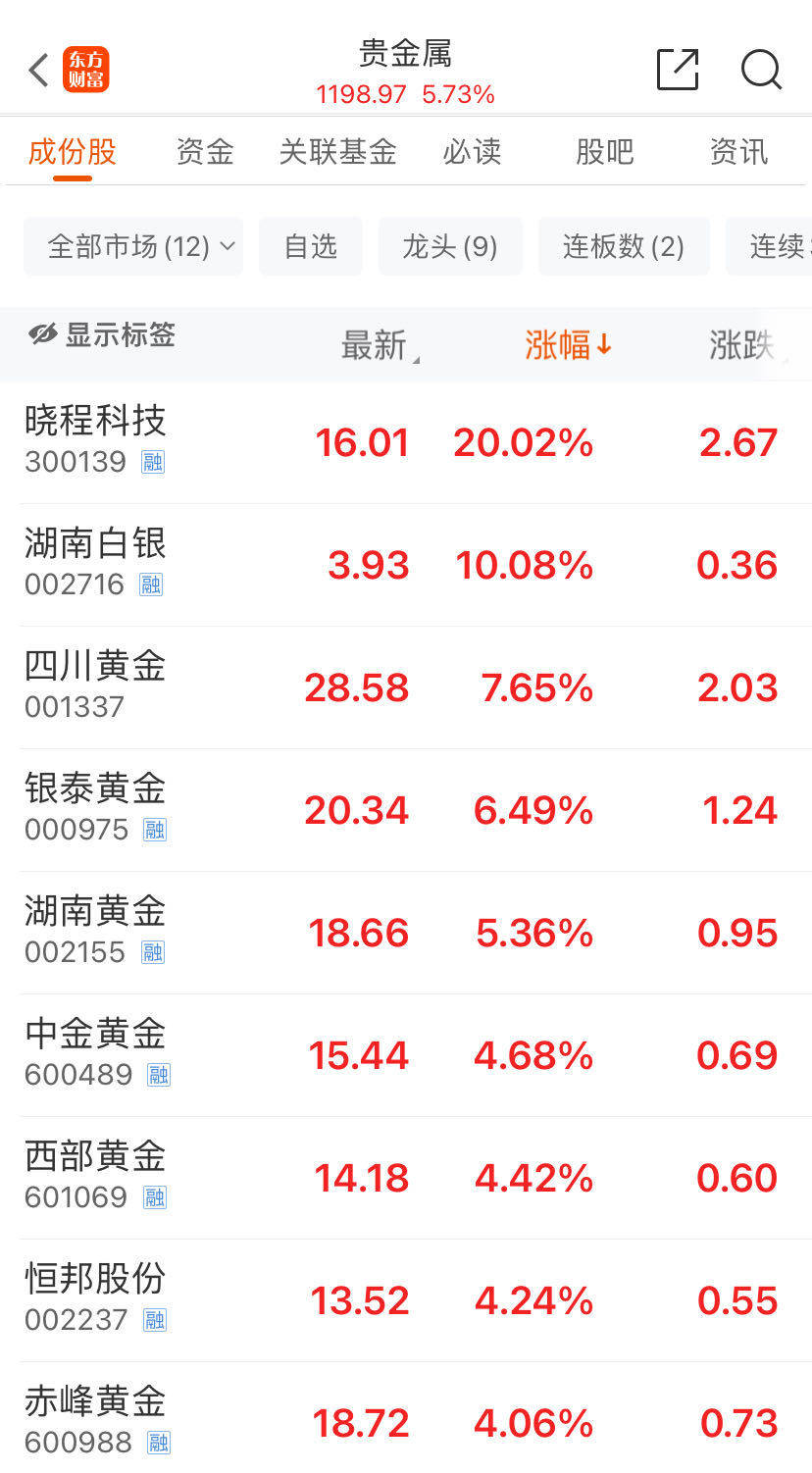 “全金属狂潮”继续，金银铜齐飞！A股贵金属活跃，湖南白银涨停