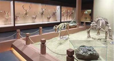 天津自然博物馆推出两大新展