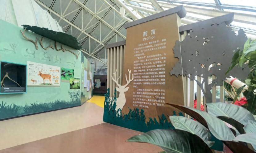 “麋鹿传奇”展亮相天津自然博物馆