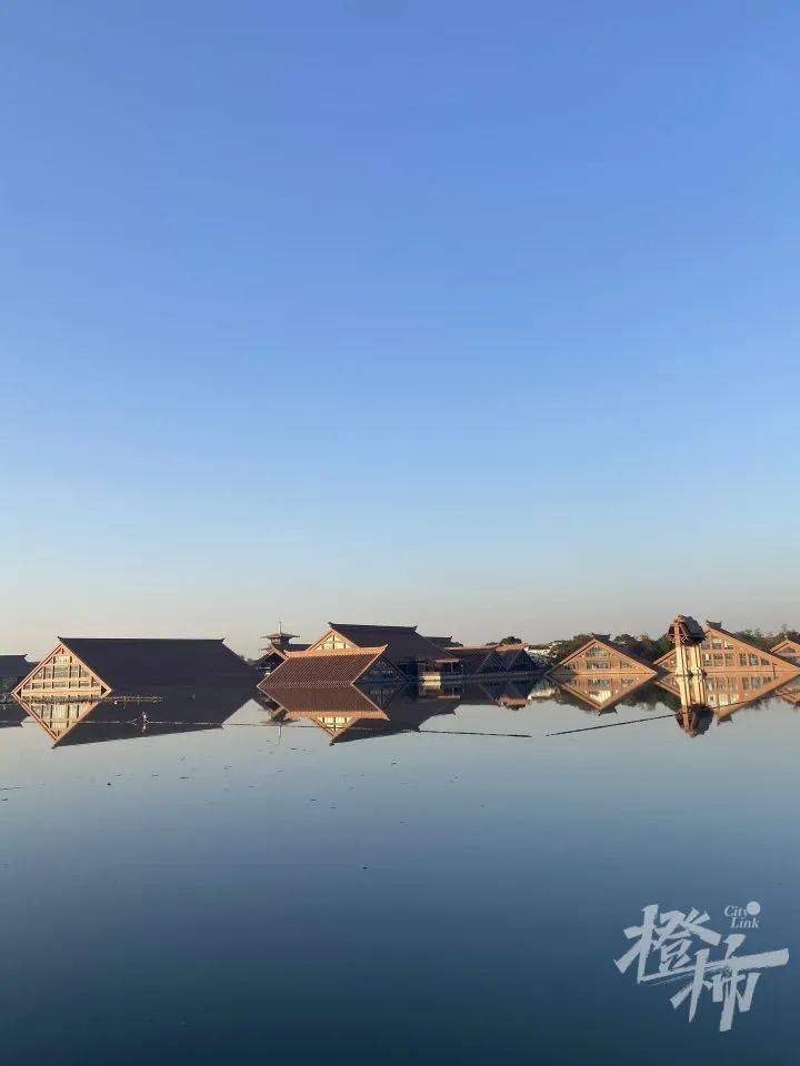 181公里，12个半小时到西湖！上海姑娘骑共享单车来杭州看日落